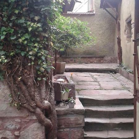Les Apparts du Gewur'z Bergheim Extérieur photo