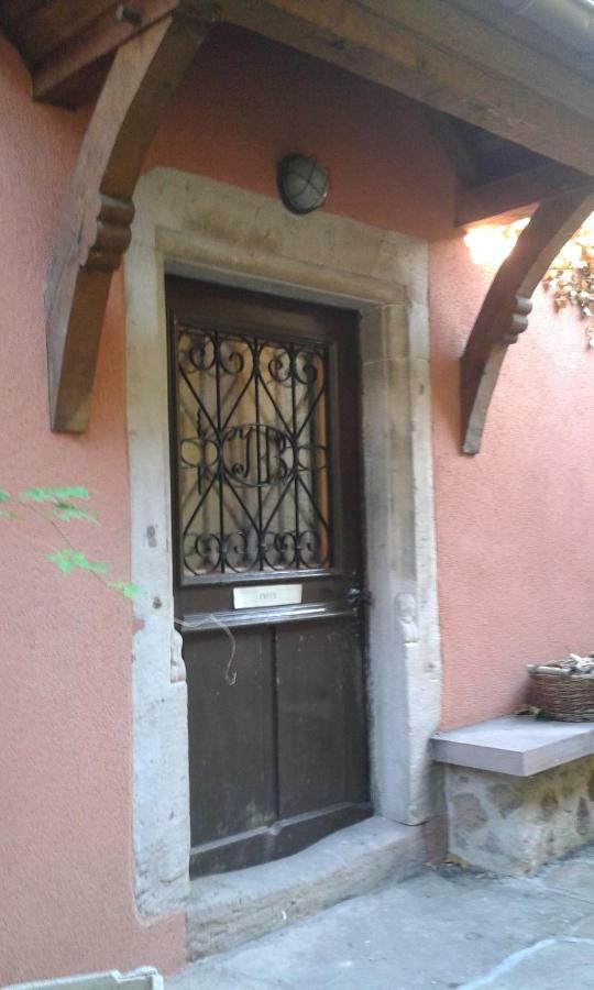 Les Apparts du Gewur'z Bergheim Extérieur photo
