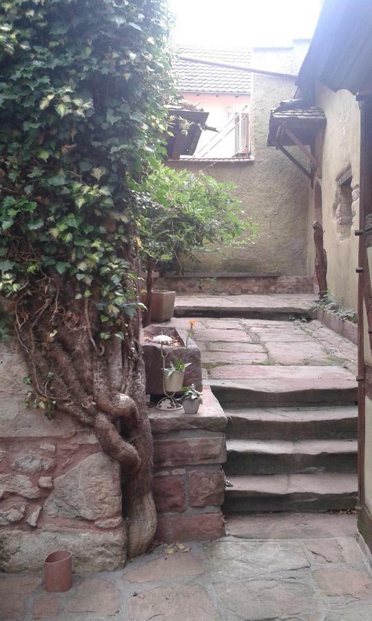 Les Apparts du Gewur'z Bergheim Extérieur photo